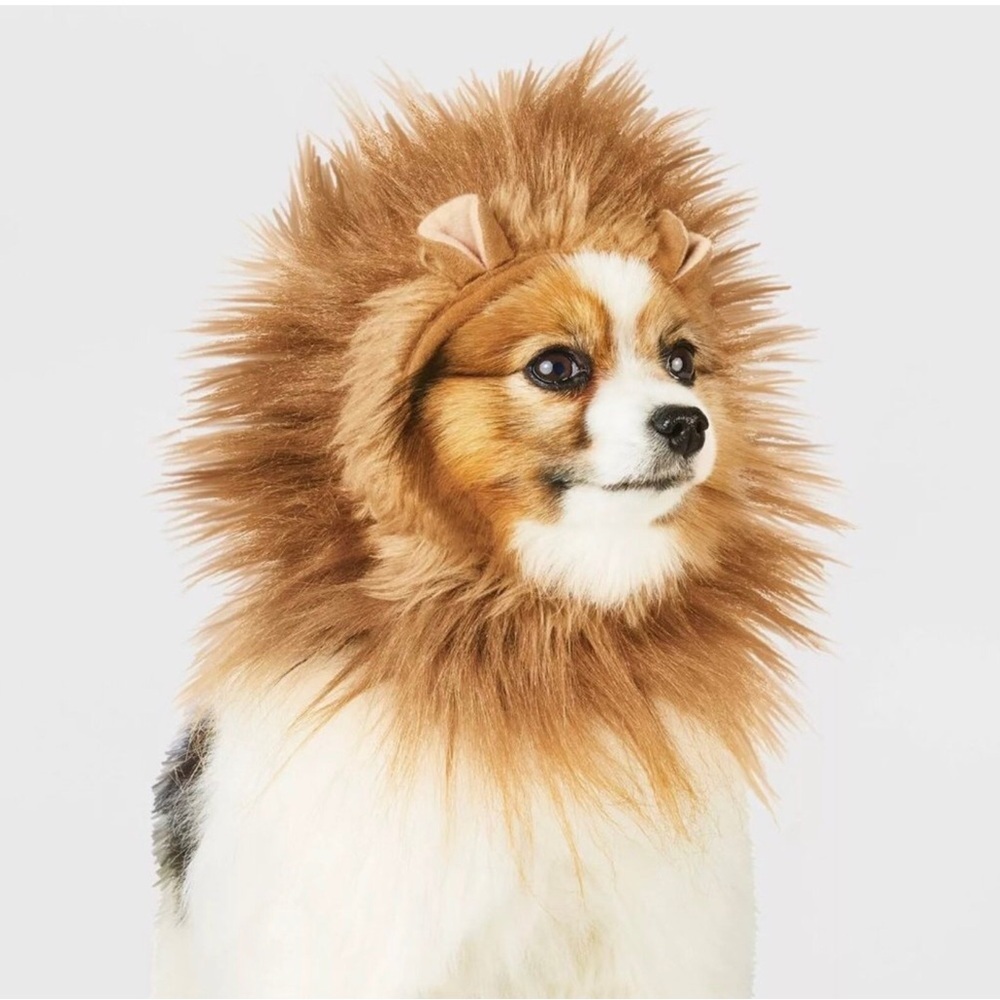 Lion Mane Halloween Dog and Cat Headwear Costume- Size XXS/XS, S/M